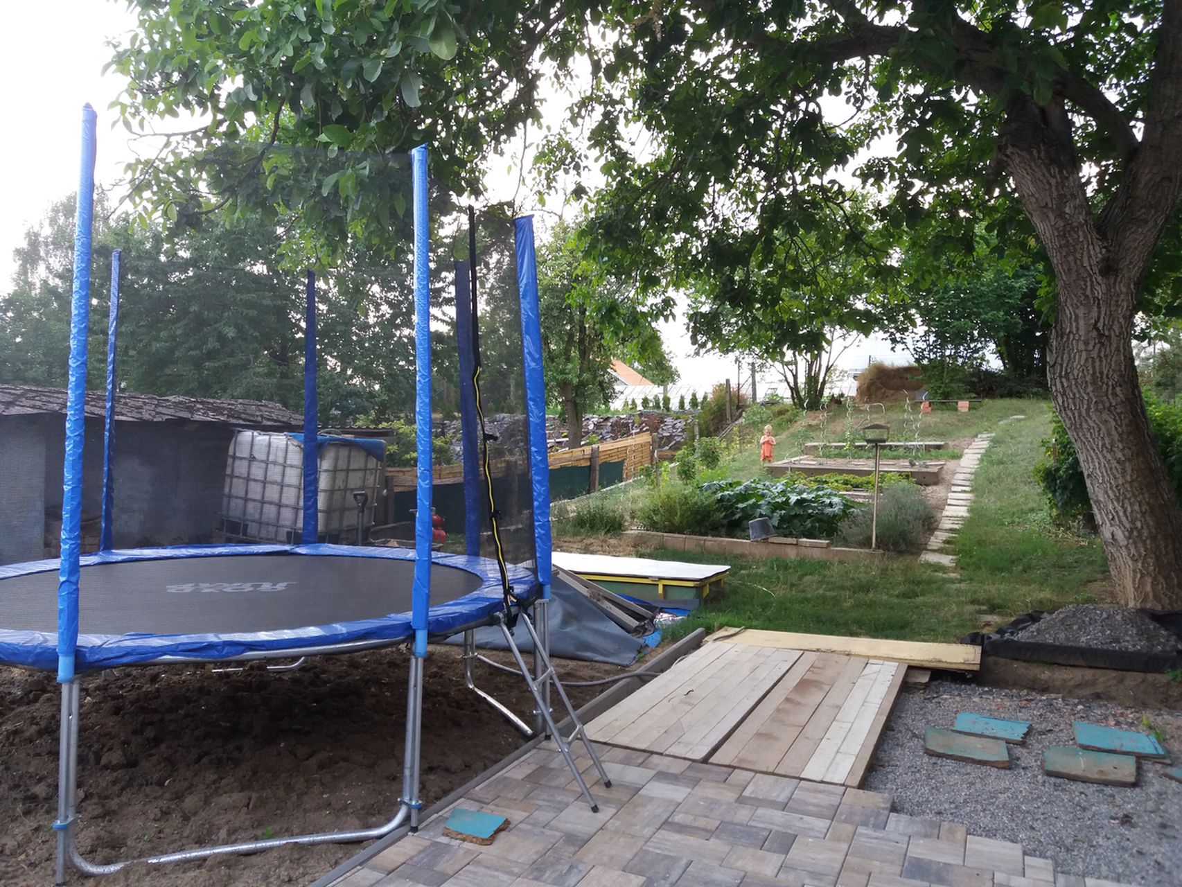 Dvorek a zahrada v létě 2017