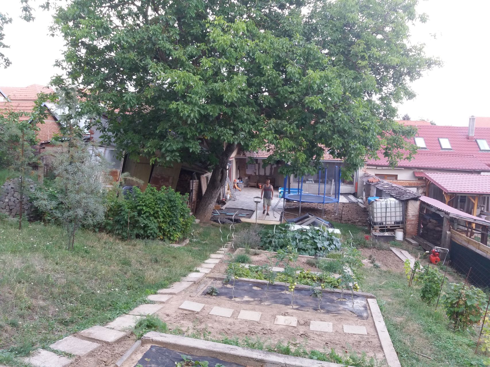 Dvorek a zahrada v létě 2017