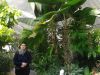 Botanická zahrada  - skleník
